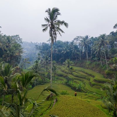Bali(2)