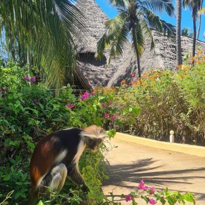 WhatsApp Image 2025-08-06 at 20.46.53