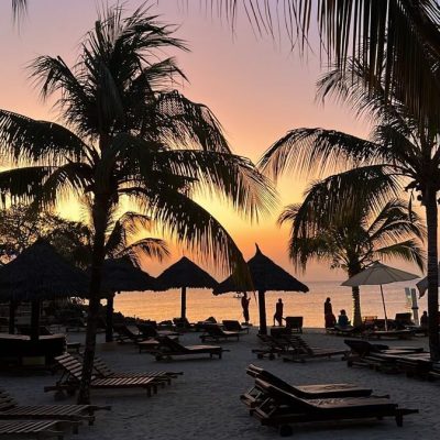 WhatsApp Image 2025-08-06 at 20.46.54